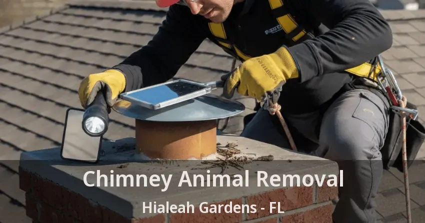 Chimney Animal Removal Hialeah Gardens - FL