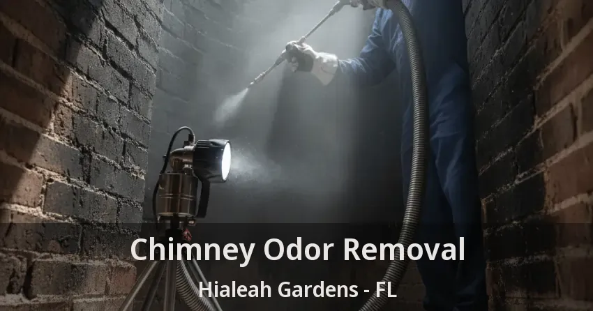 Chimney Odor Removal Hialeah Gardens - FL