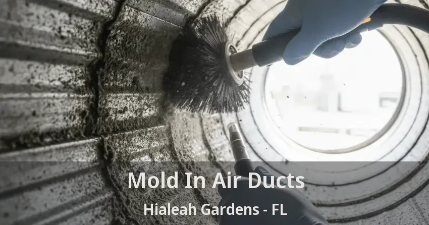 Mold In Air Ducts Hialeah Gardens - FL