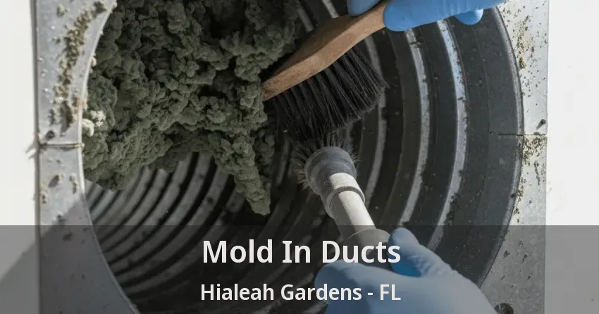 Mold In Ducts Hialeah Gardens - FL Mold In Ducts Hialeah Gardens - FL