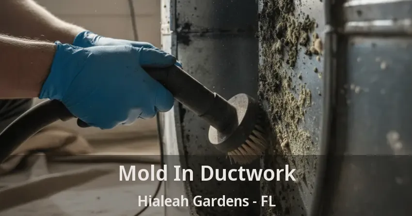 Mold In Ductwork Hialeah Gardens - FL Mold In Ductwork Hialeah Gardens - FL