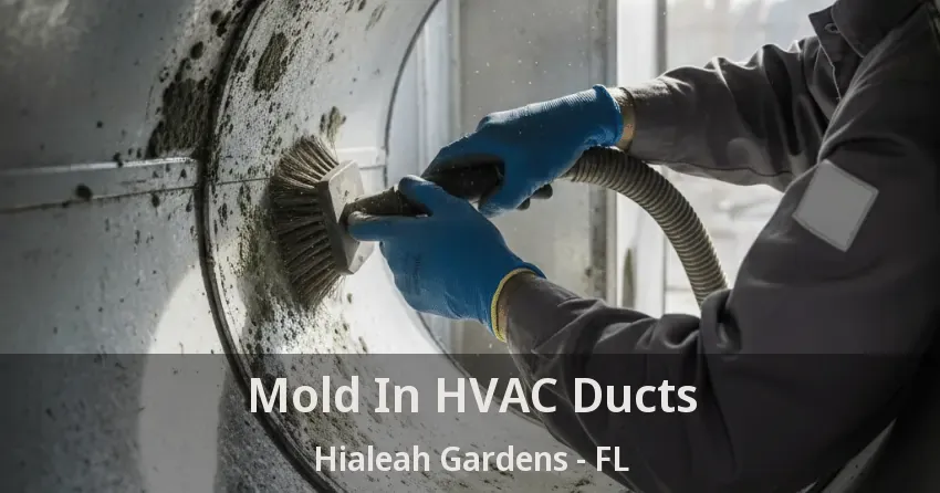 Mold In HVAC Ducts Hialeah Gardens - FL